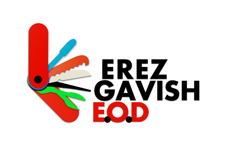 Erez Gavish